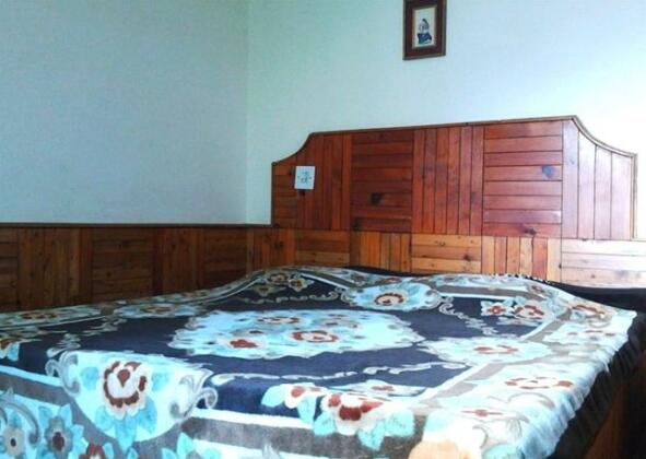 Hotel Manali Majestic - Photo2