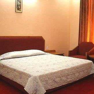 Hotel Manali Nest - Photo3