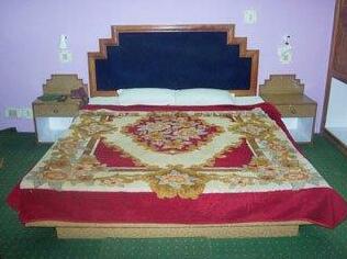 Hotel Shanti Niketan - Photo3
