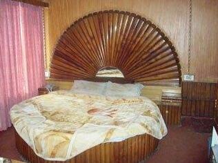 Hotel Shanti Niketan - Photo5