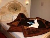 Hotel Star Inn - Photo4
