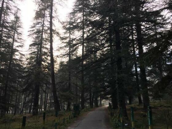 Katoch Cottages - Photo3