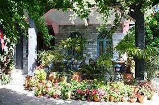 Neelgiri - Photo5