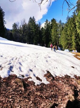 Poonam Mountain Lodge - Photo3