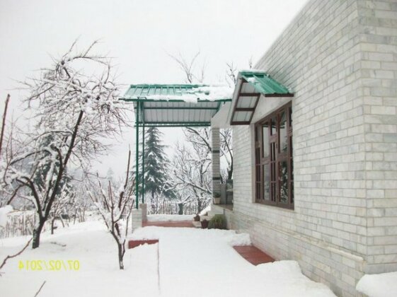 Photo 4