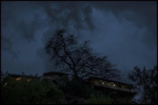The Pine Palace - Photo2