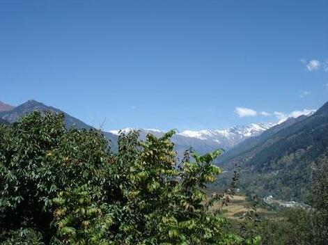 Tripvillas @ Green Hotels & Resort - Manali - Photo5