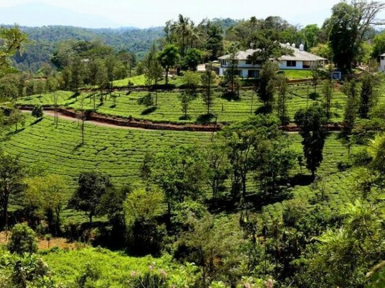 Parisons Plantation Experiences - Talapoya Bungalow - Photo5
