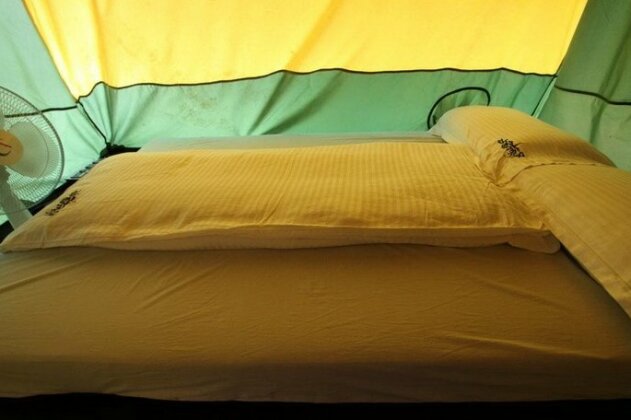 Pugmarks Jungle Lodge - Photo5