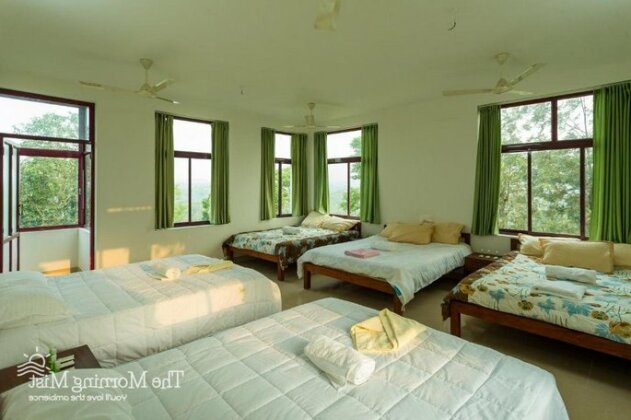 The Morning Mist - Photo5