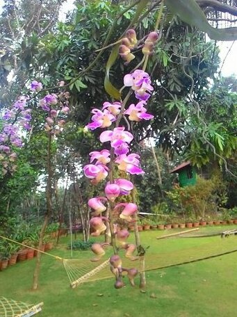 Varnam Homestay - Photo5