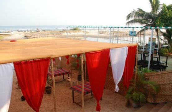 Molly's Nest - Photo2