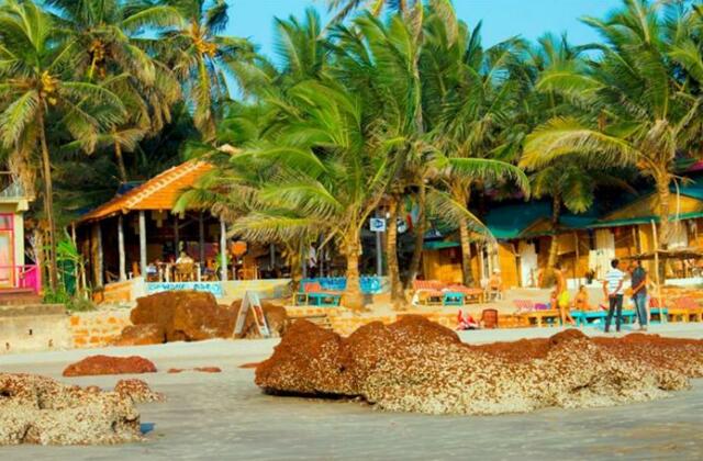 Sea View Beach Resort - Photo2