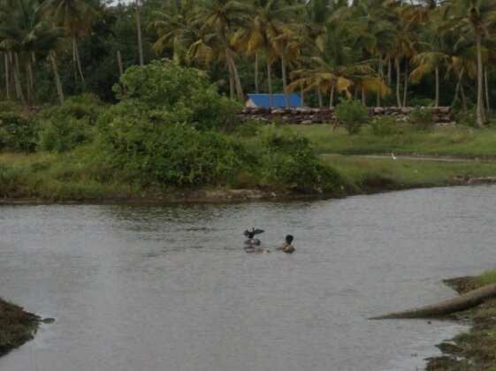 Sunset Kerala - Photo3