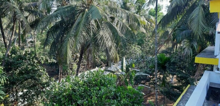 Guilman And Joanas Nest - Photo2