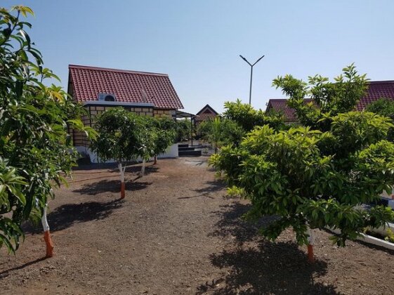 Wild Wadi Cottages - Photo2