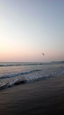 Beach Villa Morjim - Photo4