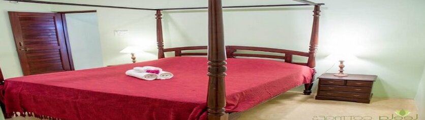 Room Maangta 320 - Morjim Goa - Photo3