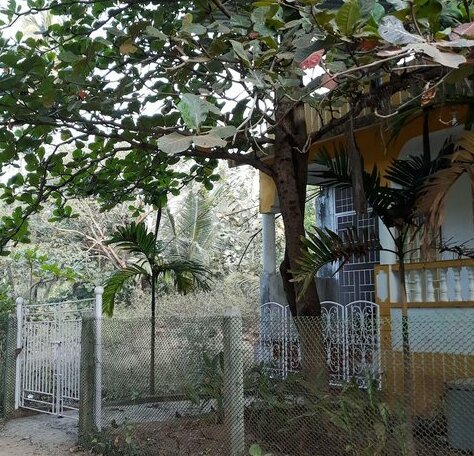  Photo 3