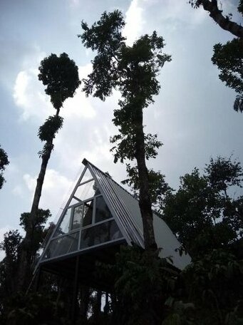 Pravat Plantation Stay - Photo4