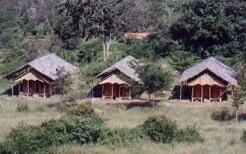 Jungle Retreat Masinagudi - Photo3