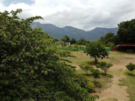 Tamarind Tree - Photo4