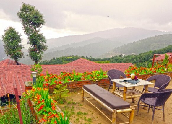 Treehouse Resort - Photo5