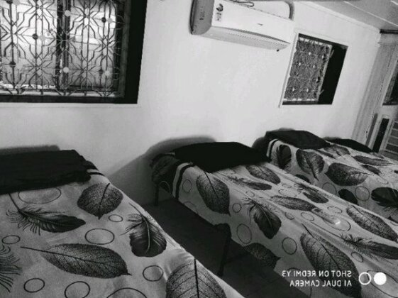 The Loft - 4 bed female dorm - Photo5