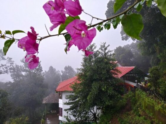 Apple Resort Munnar - Photo2
