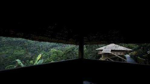 Eco Tones Munnar - Photo5