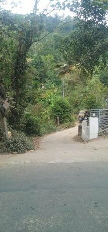 Hostel flutterby Munnar - Photo2