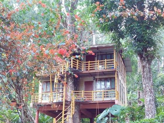 Jungle Jive Tree House Munnar