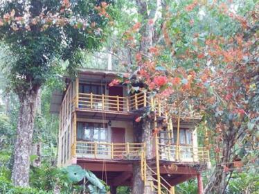 Jungle Jive Tree House Munnar