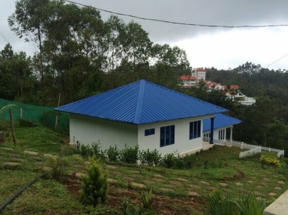 Lilies@Munnar - Photo2
