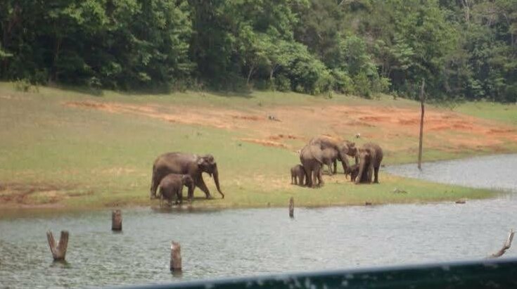 Munnar Signature - Photo2