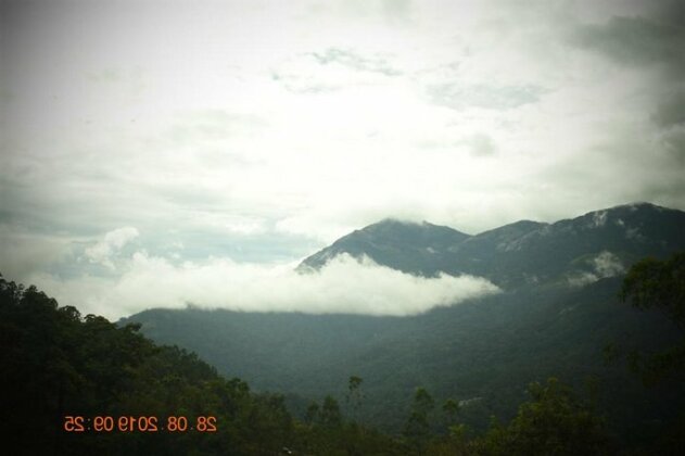 Munnar Summer Castle - Photo5