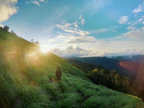 Old Farm Munnar - Photo5
