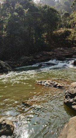 Thoppil Homestay Munnar - Photo5