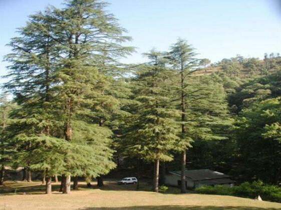 Benog Pines Cottages - Photo4