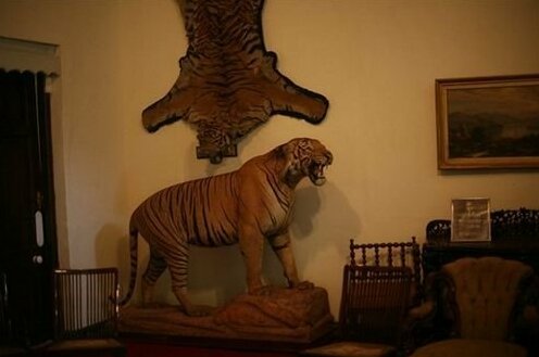 Carltons Plaisance - Photo4