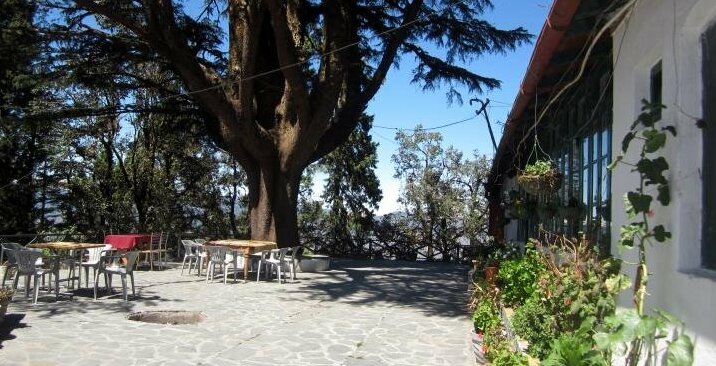 Hotel Devdar - Photo2