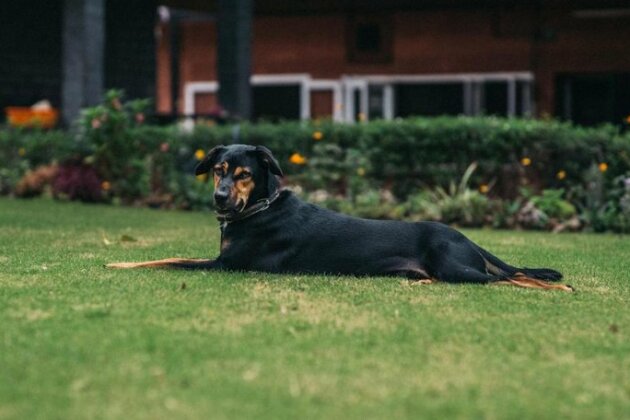 Gitanjali Homestay - Photo5