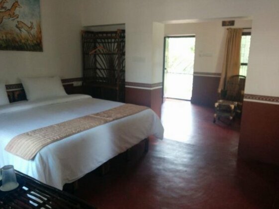 Mangrove Suites - Photo5