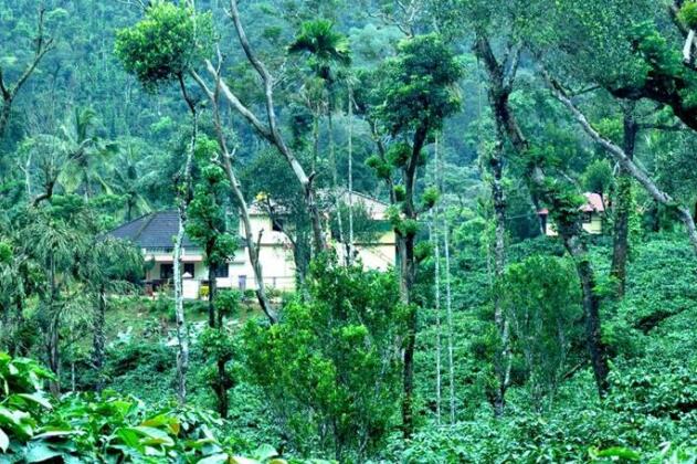 Blossom Home Stay - Photo3