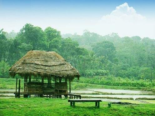 Coorg Guest House - Photo5