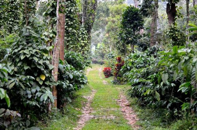 Homestay - Coffee Bliss Homestay - Coorg - Photo4