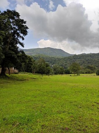 Pachibale - Photo3