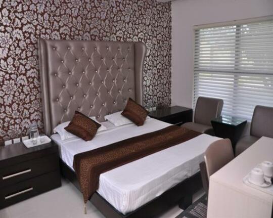 Sailani Resort & Palace - Photo4