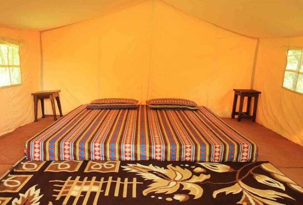Camp Sparrow - Photo2