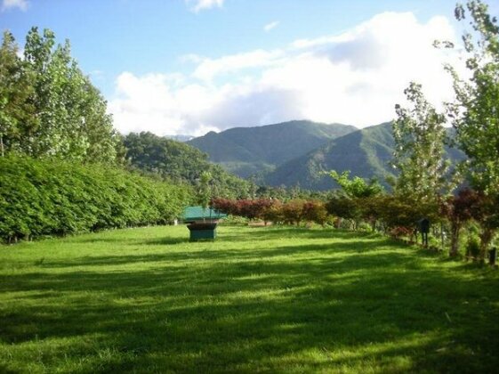 Gazaari Greenz Resort - Photo3